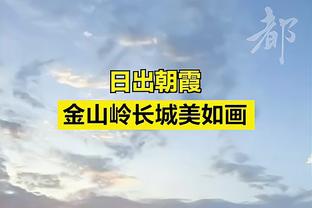 萨内全场数据：获评8分，2次助攻&关键传球3次&传球成功率79.4%